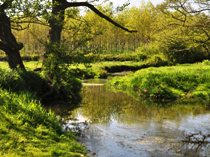 River Henmore