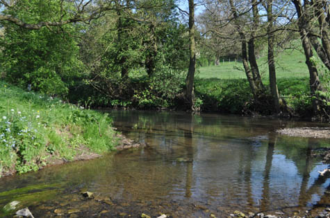 Ashbourne Fly Fishing water : Bentley Brook