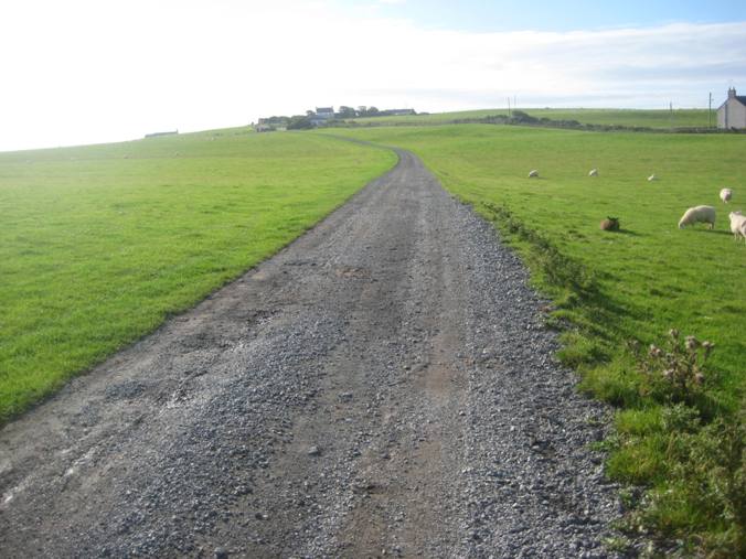 The drive up from Carreglwyd to Llanfaethlu