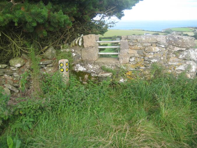 Style at the top of the field