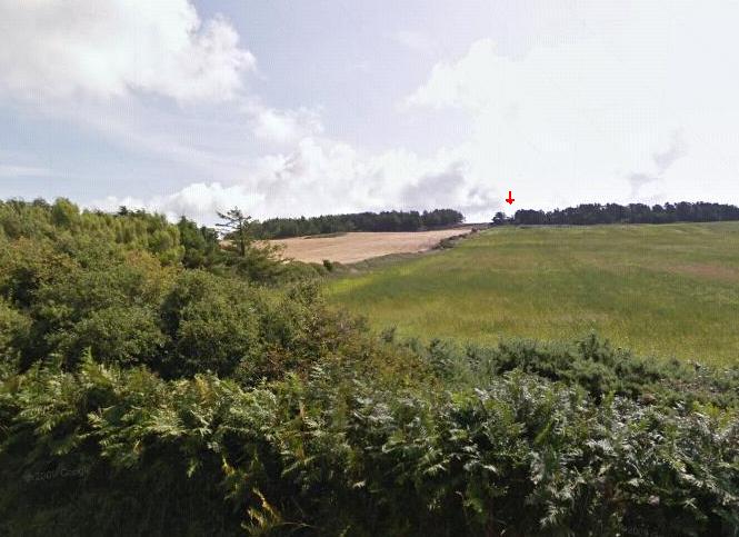 Go straight up the left hand edge of this field towards the red arrow!